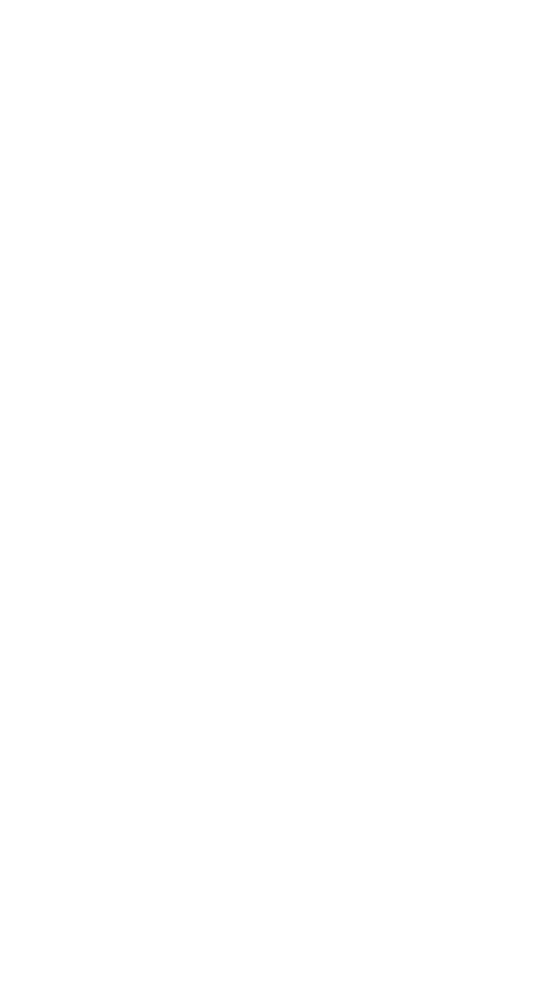 Parceiro 2